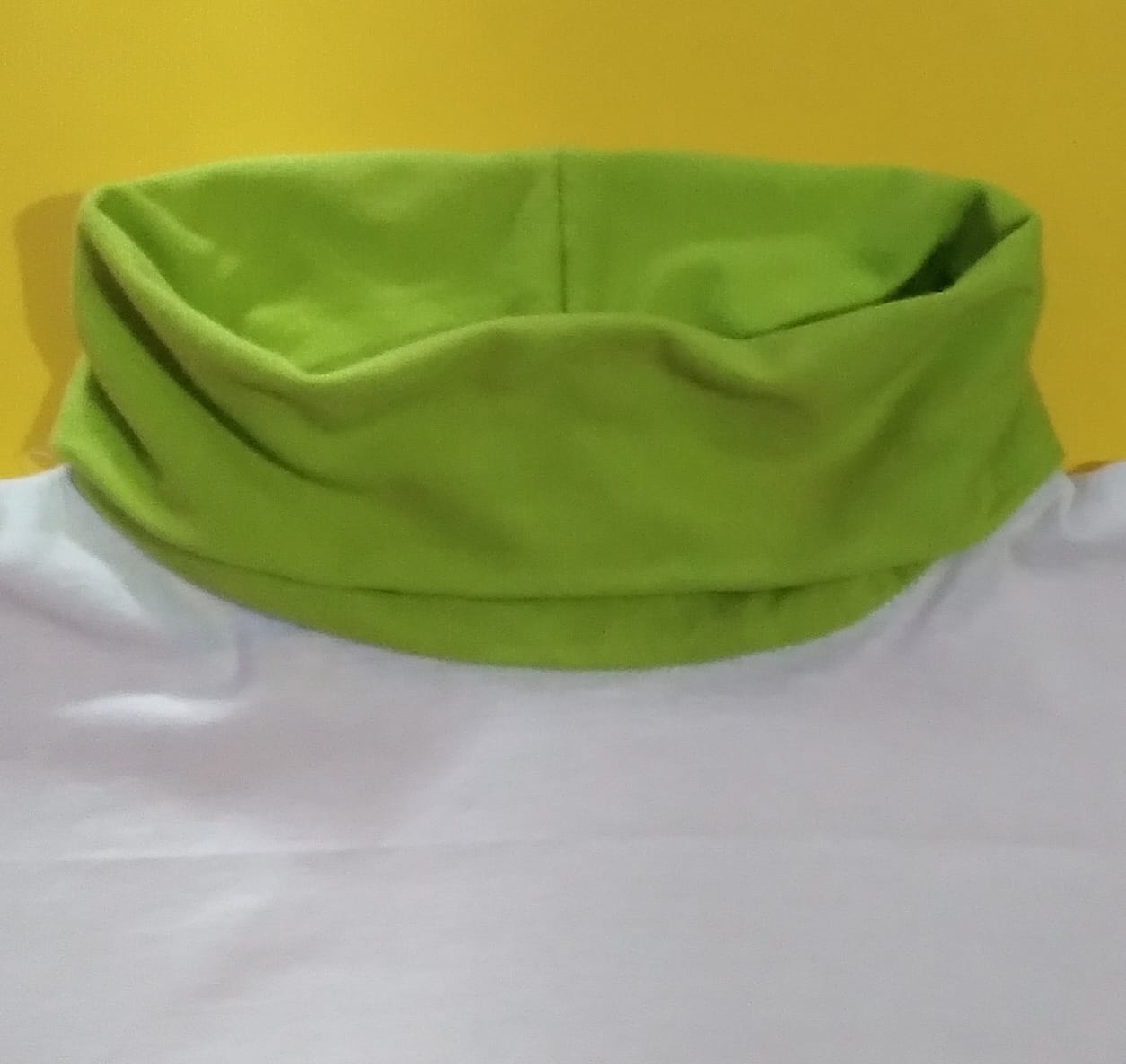 Turtle Neck Design